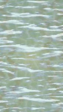 Lüks hareket tasarımı üst düzey video projeleri ve dijital sanat için zarif, pürüzsüz bir dokusu var.