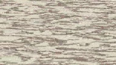 Lüks hareket tasarımı üst düzey video projeleri ve dijital sanat için zarif, pürüzsüz bir dokusu var.