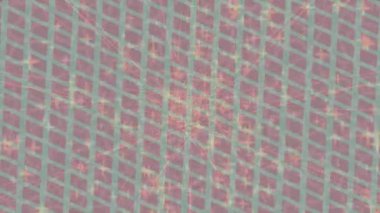 Yaratıcı video düzenleme film arkaplan tasarımı için minimalist organik hareket grafikleri