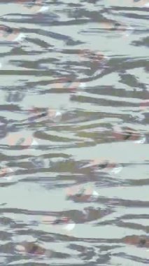 Yaratıcı video düzenleme film arkaplan tasarımı için minimalist organik hareket grafikleri