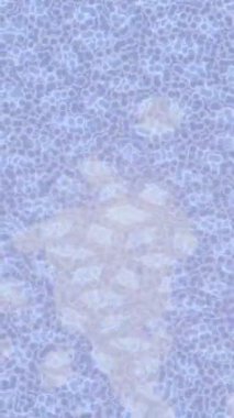 Dijital doku yüzey tasarım biçimi ile modern video animasyonu için gelişmiş hareket grafikleri