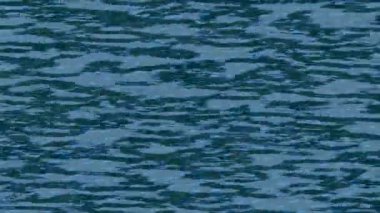 Yaratıcı video düzenleme film arkaplan tasarımı için minimalist organik hareket grafikleri