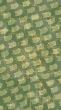 Benzersiz video giriş tasarımı projeleri için detaylı yüzey kalıbı film animasyon stili grafik girişi