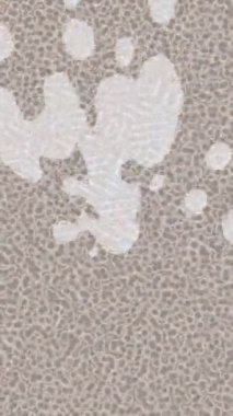 Benzersiz hareket grafikleri tasarım sanatına sahip yaratıcı film üretimi için özet bir arkaplan