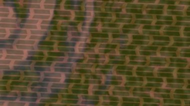 Lüks hareket projeleri için soyut tasarım stili animasyonu olan üst düzey dijital doku