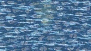 Benzersiz dijital hareket grafiklerine sahip yaratıcı sinematik projeler için yumuşak animasyon yüzeyi