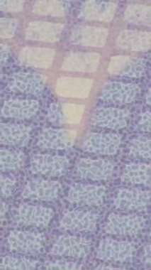 Benzersiz hareket dokusu tasarım sanatı ile profesyonel video düzenleme için modern soyut grafikler