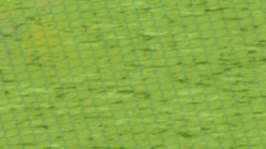 Yaratıcı video düzenleme film arkaplan tasarımı için minimalist organik hareket grafikleri