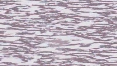 Lüks hareket tasarımı üst düzey video projeleri ve dijital sanat için zarif, pürüzsüz bir dokusu var.