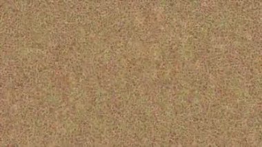 Dijital doku yüzey tasarım biçimi ile modern video animasyonu için gelişmiş hareket grafikleri