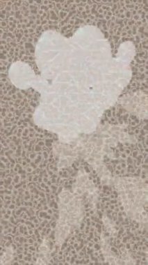 Dijital doku yüzey tasarım biçimi ile modern video animasyonu için gelişmiş hareket grafikleri