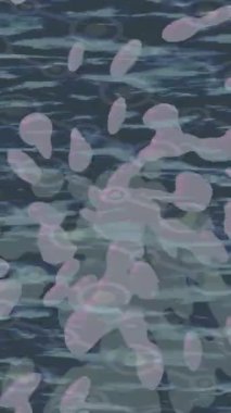 Benzersiz dijital hareket grafiklerine sahip yaratıcı sinematik projeler için yumuşak animasyon yüzeyi