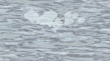 Lüks hareket projeleri için soyut tasarım stili animasyonu olan üst düzey dijital doku