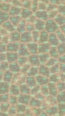 Yaratıcı video düzenleme film arkaplan tasarımı için minimalist organik hareket grafikleri