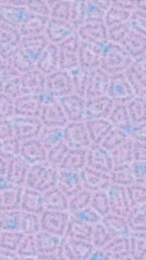 Benzersiz dijital hareket grafiklerine sahip yaratıcı sinematik projeler için yumuşak animasyon yüzeyi