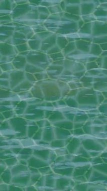 Benzersiz video giriş tasarımı projeleri için detaylı yüzey kalıbı film animasyon stili grafik girişi