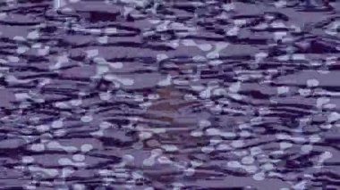 Yaratıcı video düzenleme film arkaplan tasarımı için minimalist organik hareket grafikleri