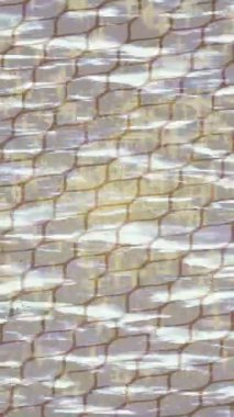 Organik desenli yüzey giriş stili video film sanatı ile soyut arkaplan tasarımı