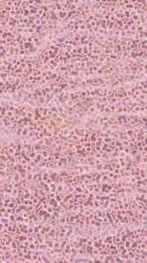 Lüks hareket projeleri için soyut tasarım stili animasyonu olan üst düzey dijital doku