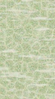 Estetik doku arkaplan tasarımı renkli hareket grafikleri ile moda film giriş profosyoneli