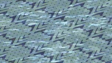 Lüks hareket tasarımı üst düzey video projeleri ve dijital sanat için zarif, pürüzsüz bir dokusu var.