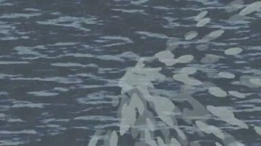 Dijital doku yüzey tasarım biçimi ile modern video animasyonu için gelişmiş hareket grafikleri