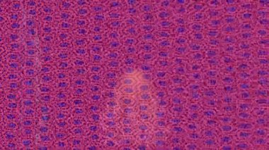 Yaratıcı video düzenleme film arkaplan tasarımı için minimalist organik hareket grafikleri