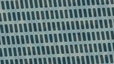 Benzersiz hareket dokusu tasarım sanatı ile profesyonel video düzenleme için modern soyut grafikler