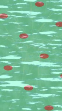 Benzersiz dijital hareket grafiklerine sahip yaratıcı sinematik projeler için yumuşak animasyon yüzeyi