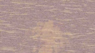 Benzersiz dijital animasyon tarzı grafikleri olan yaratıcı ortam tasarımı için yenilikçi hareket dokusu