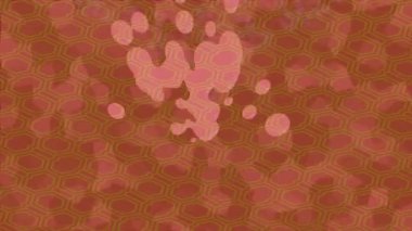 Benzersiz dijital hareket grafiklerine sahip yaratıcı sinematik projeler için yumuşak animasyon yüzeyi