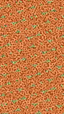 Benzersiz video giriş tasarımı projeleri için detaylı yüzey kalıbı film animasyon stili grafik girişi