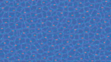 Soyut hareket desenli fütüristik video üretimi için dinamik dijital arkaplan