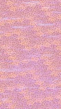 Profesyonel video projeleri sanat tarzı için organik hareketli arkaplan tasarımı