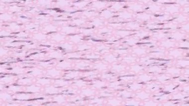 Benzersiz dijital animasyon tarzı grafikleri olan yaratıcı ortam tasarımı için yenilikçi hareket dokusu