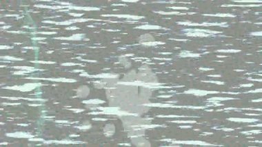 Profesyonel video projeleri sanat tarzı için organik hareketli arkaplan tasarımı