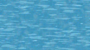 Yaratıcı video düzenleme film arkaplan tasarımı için minimalist organik hareket grafikleri