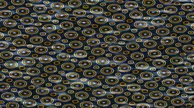 Yaratıcı video düzenleme film tasarımı için benzersiz hareket grafikleri biçimi giriş hareketi video pro