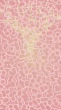 Yaratıcı video düzenleme film tasarımı için benzersiz hareket grafikleri biçimi giriş hareketi video pro