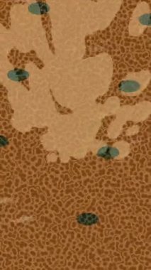 Yaratıcı video düzenleme film arkaplan tasarımı için minimalist organik hareket grafikleri