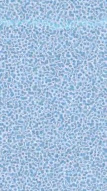 Lüks hareket tasarımı üst düzey video projeleri ve dijital sanat için zarif, pürüzsüz bir dokusu var.