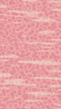 Benzersiz hareket dokusu tasarım sanatı ile profesyonel video düzenleme için modern soyut grafikler