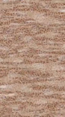 Organik desenli yüzey giriş stili video film sanatı ile soyut arkaplan tasarımı