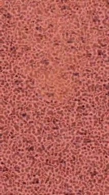 Lüks hareket tasarımı üst düzey video projeleri ve dijital sanat için zarif, pürüzsüz bir dokusu var.