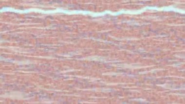 Benzersiz dijital hareket grafiklerine sahip yaratıcı sinematik projeler için yumuşak animasyon yüzeyi