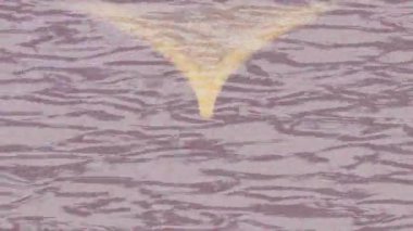 Benzersiz dijital hareket grafiklerine sahip yaratıcı sinematik projeler için yumuşak animasyon yüzeyi