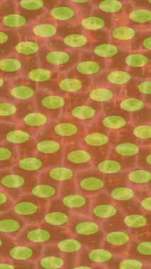 Benzersiz hareket grafikleri tasarım sanatına sahip yaratıcı film üretimi için özet bir arkaplan