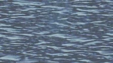 Yaratıcı video düzenleme film arkaplan tasarımı için minimalist organik hareket grafikleri