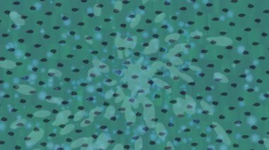 Benzersiz hareket dokusu tasarım sanatı ile profesyonel video düzenleme için modern soyut grafikler