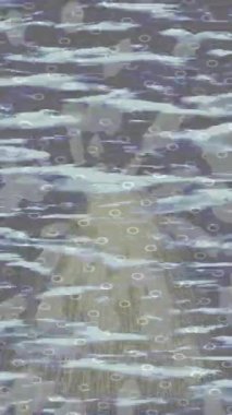 Benzersiz dijital animasyon tarzı grafikleri olan yaratıcı ortam tasarımı için yenilikçi hareket dokusu